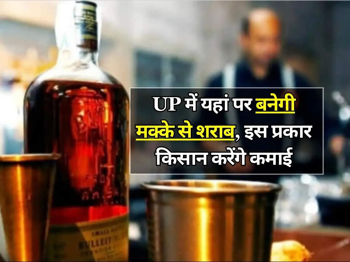 UP में यहां पर बनेगी मक्के से शराब, इस प्रकार किसान करेंगे कमाई