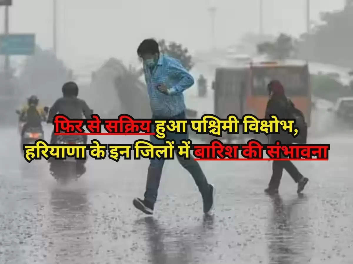 Haryana Weather Updates  : फिर से सक्रिय हुआ पश्चिमी विक्षोभ, हरियाणा के इन जिलों में बारिश की संभावना, जानिए मौसम की पूरी जानकारी 