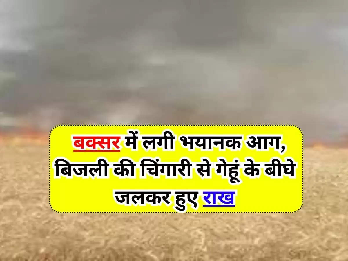 Buxar News : बक्सर में लगी भयानक आग, बिजली की चिंगारी से गेहूं के बीघे जलकर हुए राख, चार झूलसे, एक की मौत 