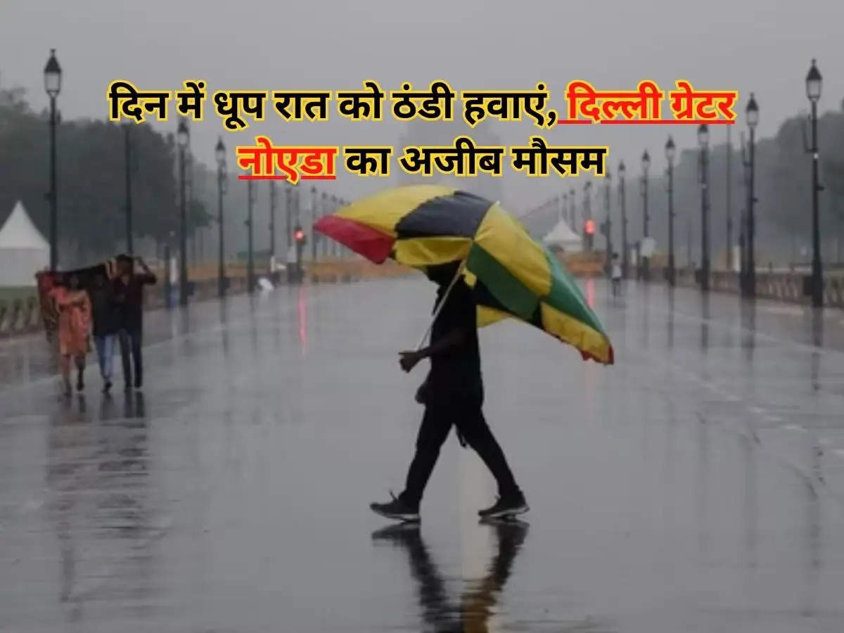 Delhi-Noida Weather : दिन में धूप रात को ठंडी हवाएं, दिल्ली ग्रेटर नोएडा का अजीब मौसम, जानिए मौसम विभाग का अपडेट...