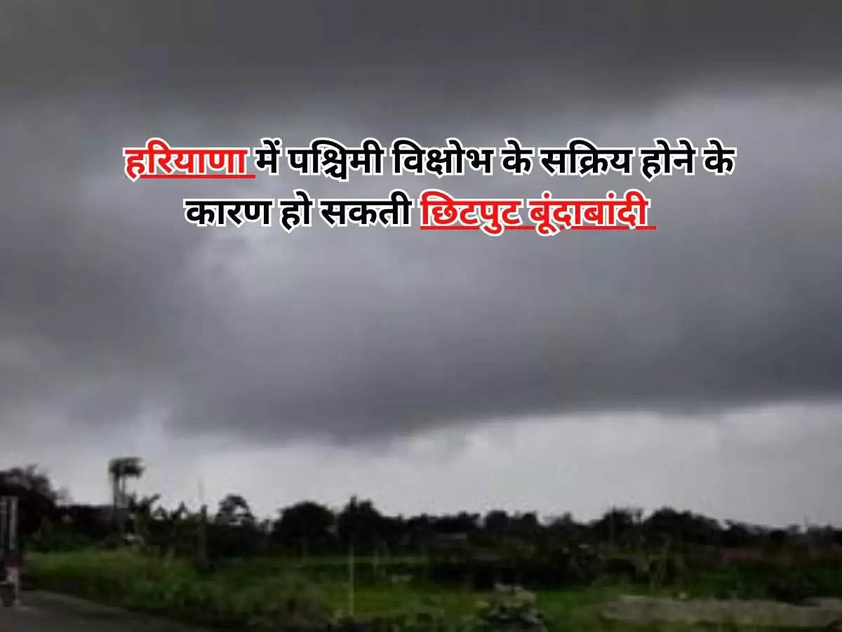 Haryana Weather Update : हरियाणा में पश्चिमी विक्षोभ के सक्रिय होने के कारण हो सकती छिटपुट बूंदाबांदी, जानिए IMD की पूरी अपडेट 