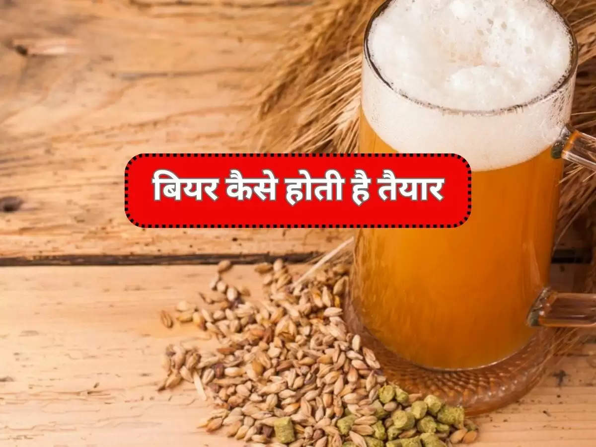 Beer Effects : 90 प्रतिशत लोगों को नही पता , बियर कैसे होती है तैयार 