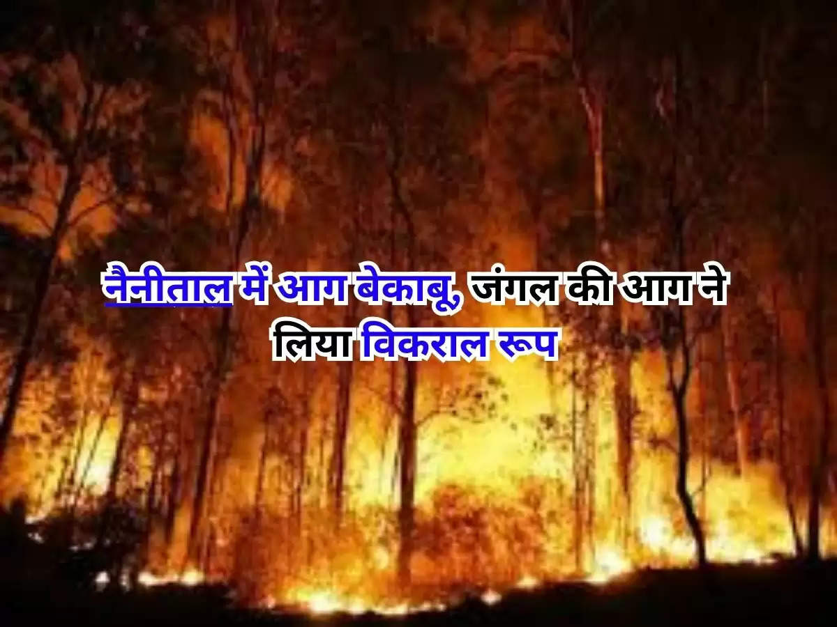 Forest Fire Uttarakhand : नैनीताल में आग बेकाबू, जंगल की आग ने लिया विकराल रूप 