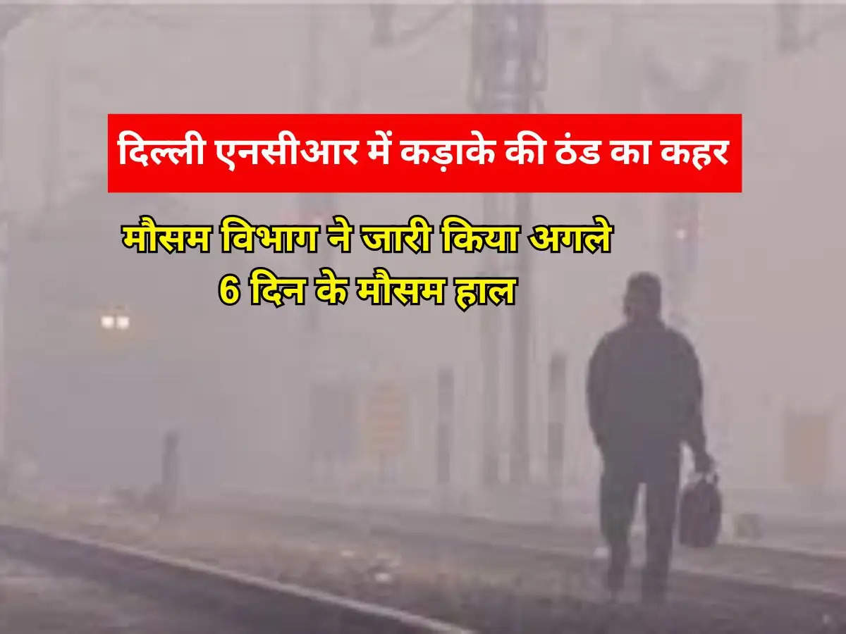 Delhi NCR Weather : दिल्ली एनसीआर में कड़ाके की ठंड का कहर, मौसम विभाग ने जारी किया अगले 6 दिन के मौसम हाल