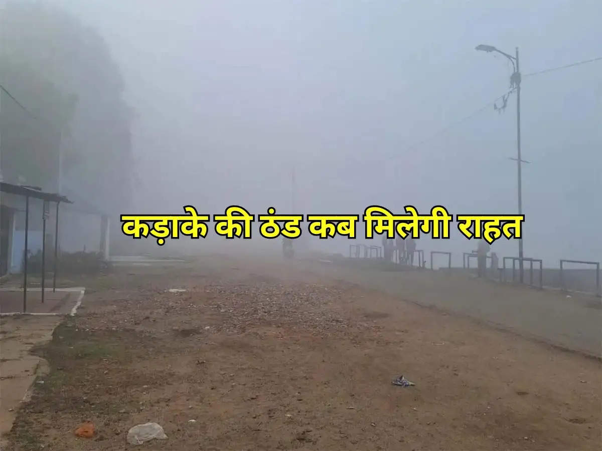 Weather Update : पंजाब, हरियाणा और दिल्ली समेत इन राज्यों में कड़ाके की ठंड कब मिलेगी राहत, जानिए मौसम विभाग का अपडेट