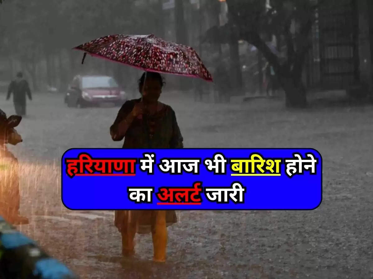 Haryana Weather News : हरियाणा में आज भी बारिश होने का अलर्ट जारी, जानिए कौन से जिलों में होगी बारिश 