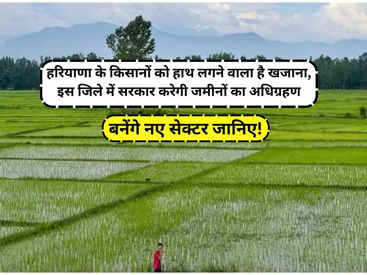 Haryana : हरियाणा के किसानों को हाथ लगने वाला है खजाना, इस जिले में सरकार करेगी जमीनों का अधिग्रहण, बनेंगे नए सेक्टर जानिए!