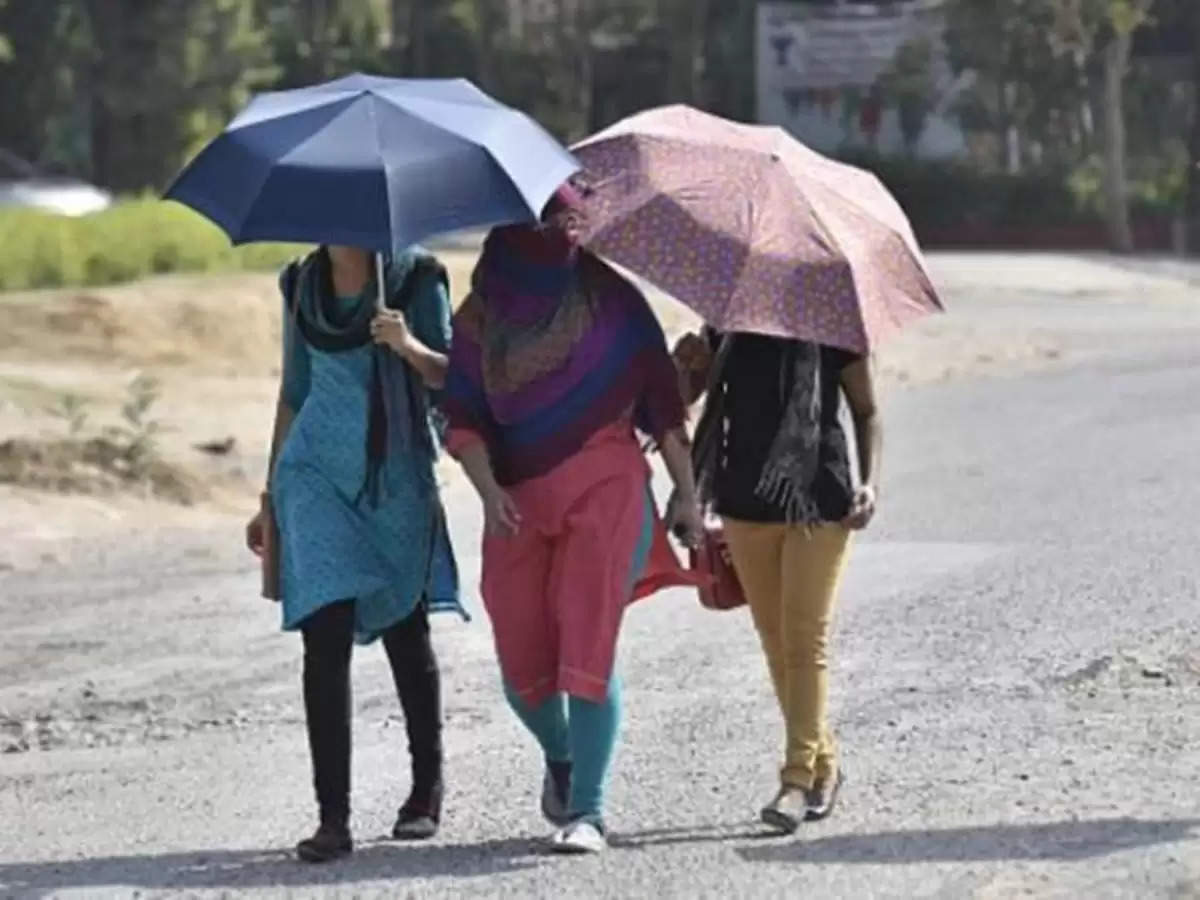 Weather News : पंजाब, हरियाणा में मौसम का रहेगा सबसे भयानक कहर, राजस्थान में बारिश, up और बिहार में लू का अलर्ट जारी 